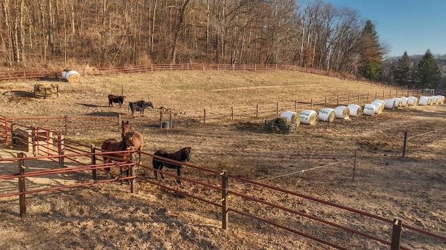 view of yard featuring a rural view