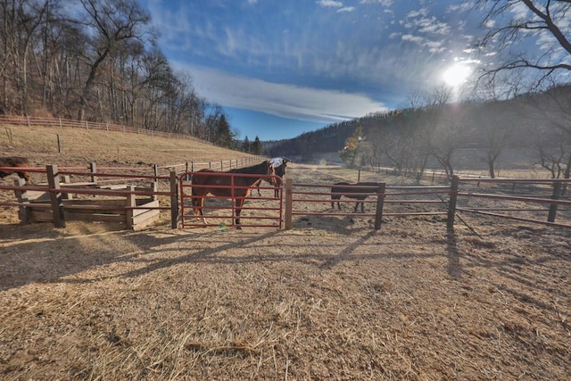 view of yard with a rural view and an outdoor structure