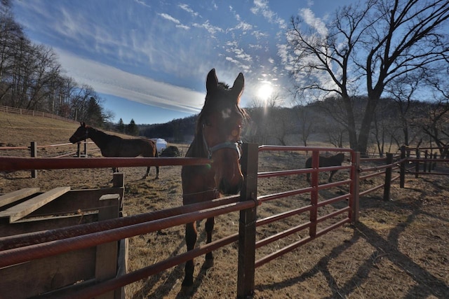 view of stable with a rural view