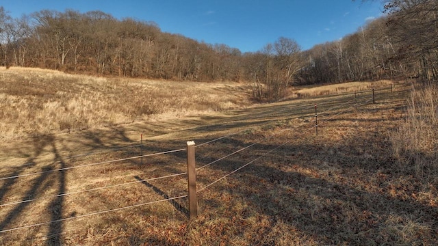 view of local wilderness with a rural view