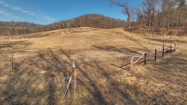 view of yard featuring a rural view