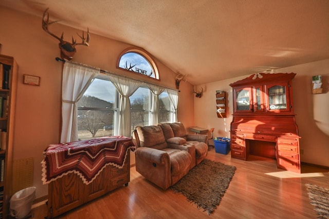 living room featuring light hardwood / wood-style flooring and lofted ceiling