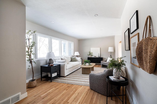 living room featuring light wood-type flooring