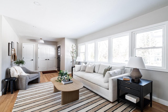 living room featuring light hardwood / wood-style floors