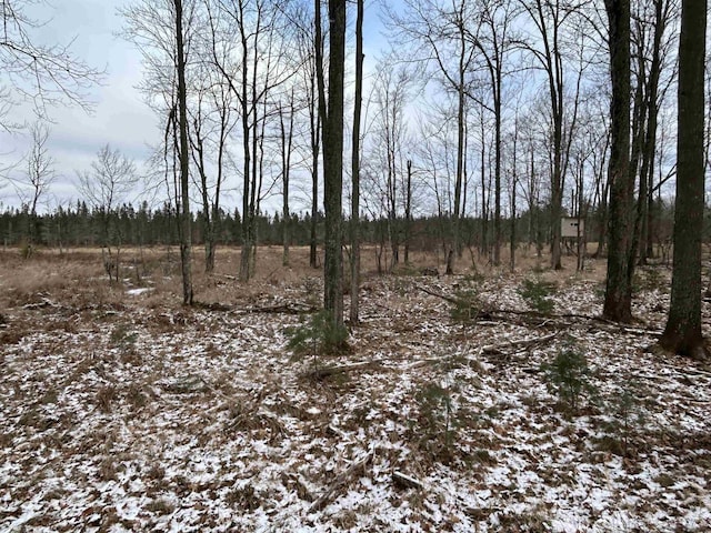 view of snow covered land