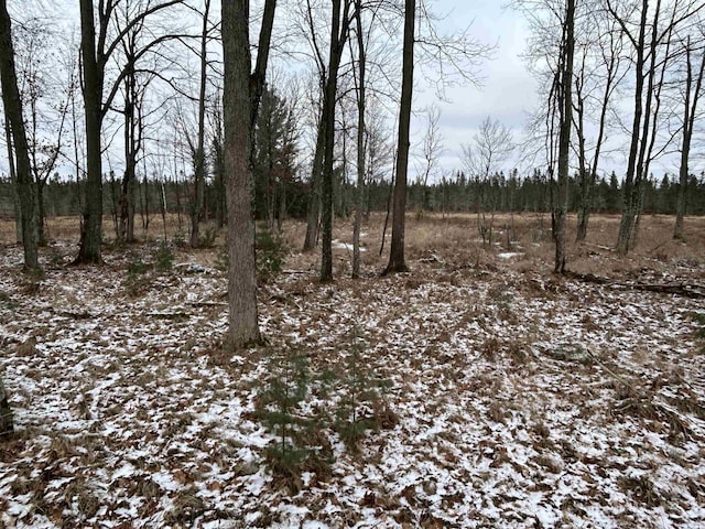 view of snowy landscape