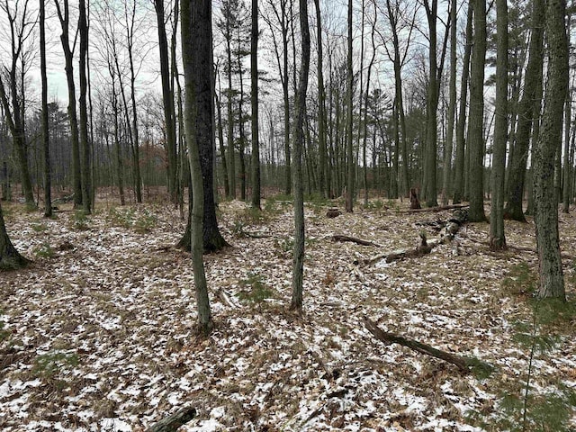 view of snowy landscape