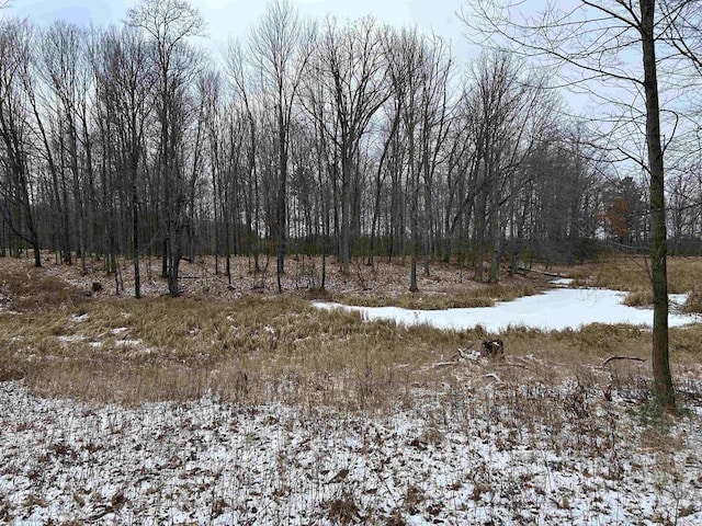 view of snow covered land