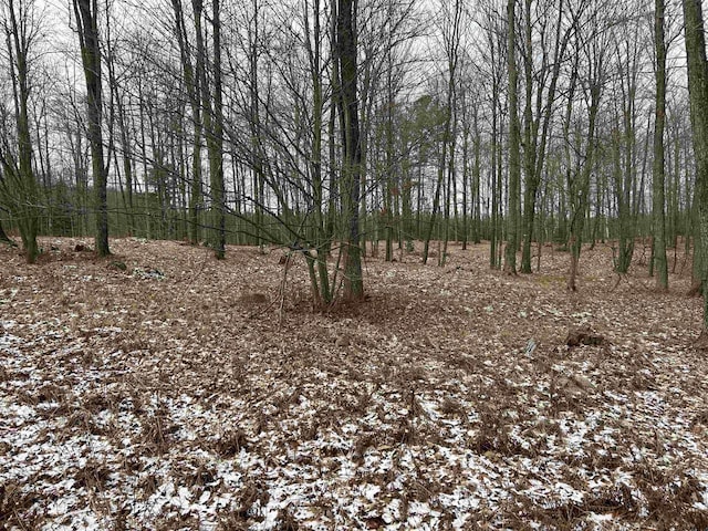 view of snowy landscape