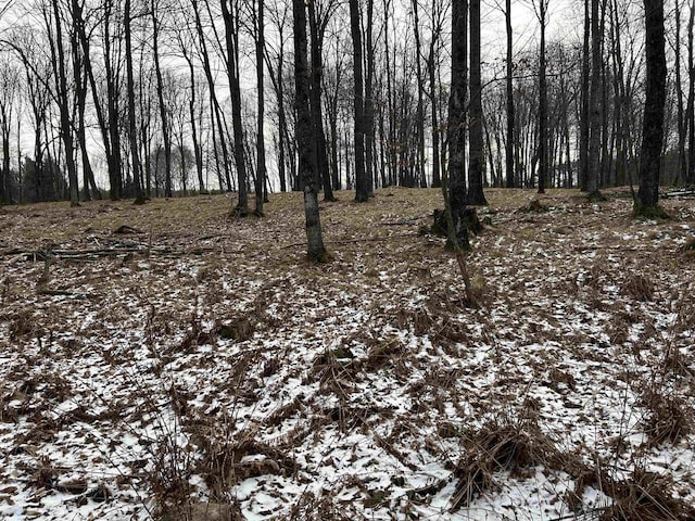 view of snow covered land