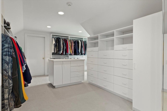 N84W36411 Riverwood Ln, Oconomowoc, WI 53066 - walk in closet featuring vaulted ceiling