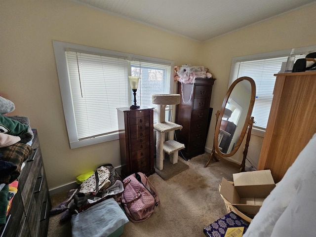 miscellaneous room featuring carpet floors and baseboards