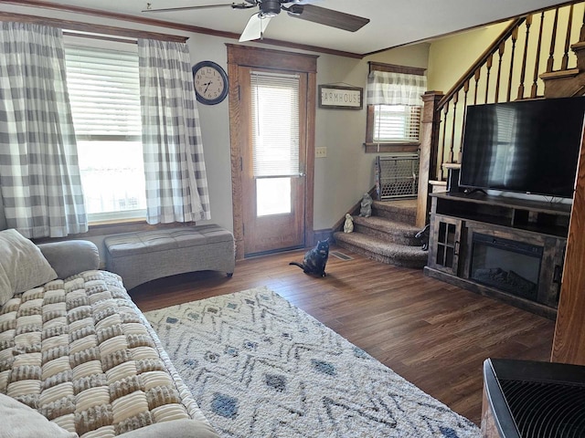 living room with ornamental molding, a ceiling fan, a glass covered fireplace, wood finished floors, and stairs