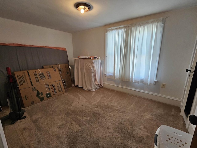 bedroom featuring carpet