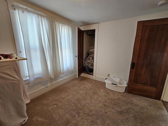 unfurnished bedroom with carpet floors