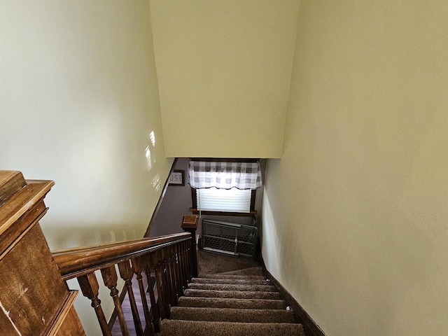 stairs with carpet floors