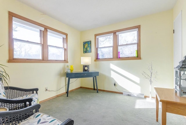 living area with carpet