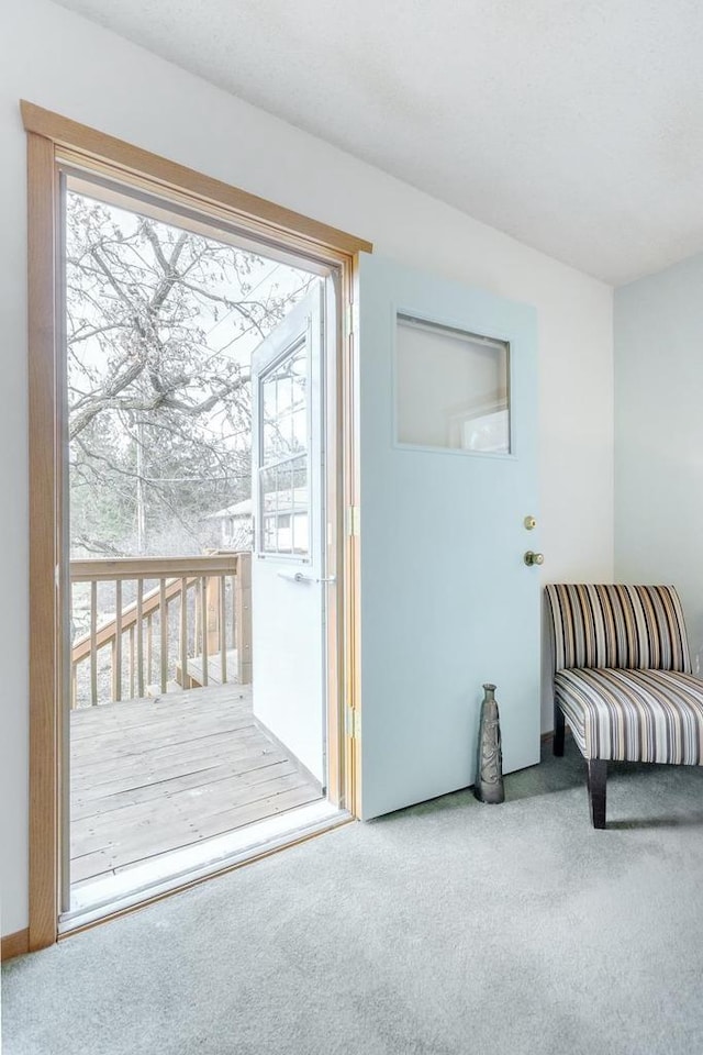 doorway featuring carpet flooring