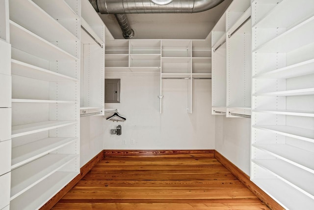 spacious closet featuring electric panel and hardwood / wood-style floors