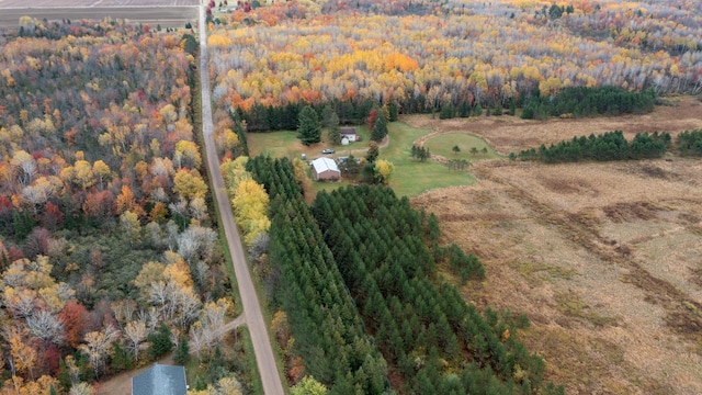 bird's eye view