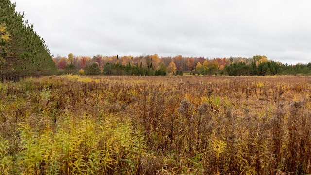 view of local wilderness