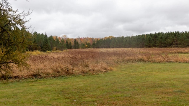 view of local wilderness