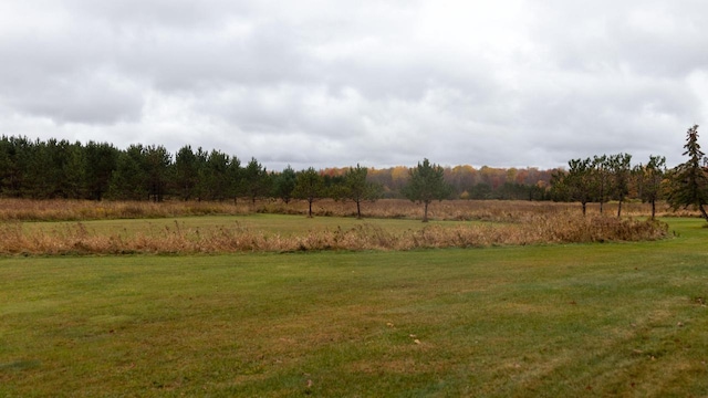 view of yard with a rural view