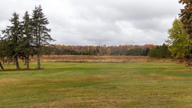 view of yard featuring a rural view