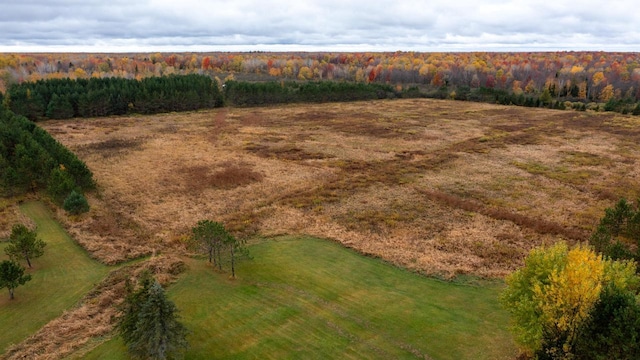 view of yard featuring a rural view