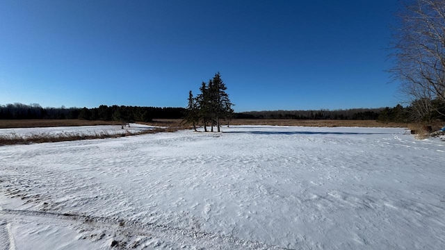 view of snowy yard