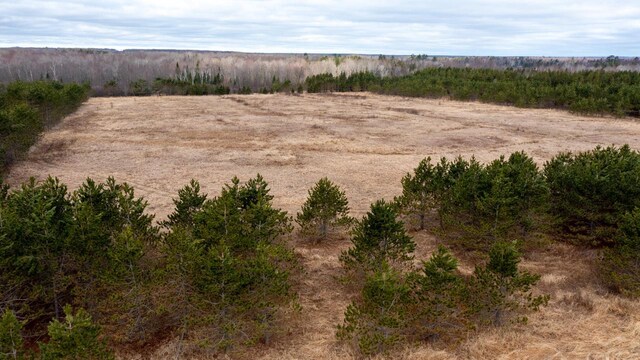 W12103 Highland Rd, Antigo, WI 54409 - view of landscape featuring a rural view
