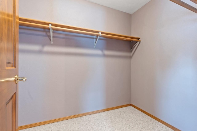 spacious closet with carpet floors