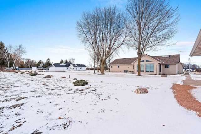 view of yard covered in snow