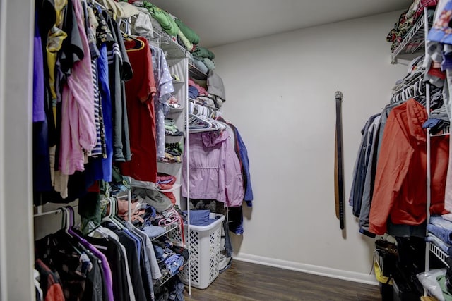 walk in closet featuring dark hardwood / wood-style flooring