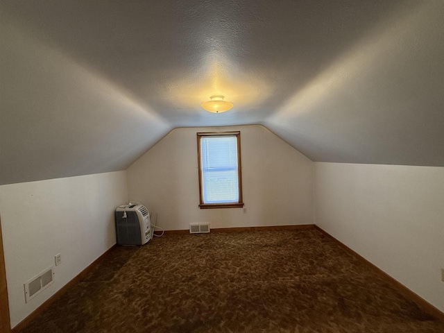 additional living space featuring a textured ceiling, carpet, and lofted ceiling