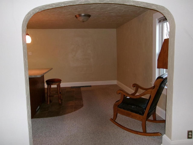 sitting room featuring carpet flooring