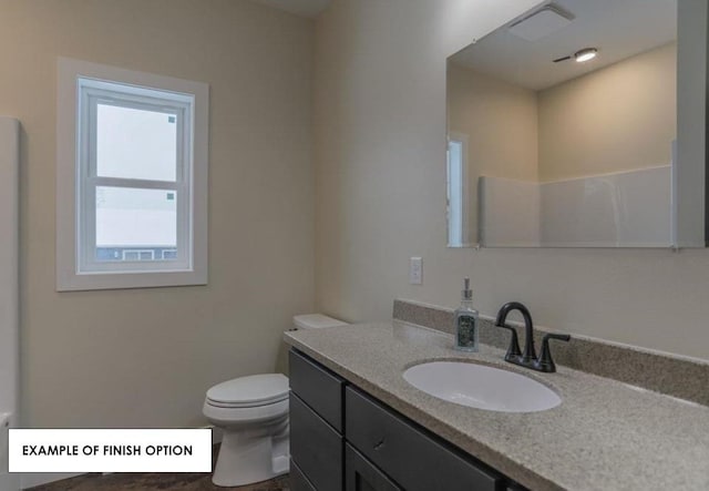 bathroom with toilet and vanity