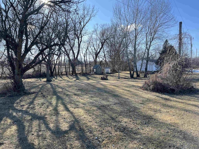 view of yard with a storage shed