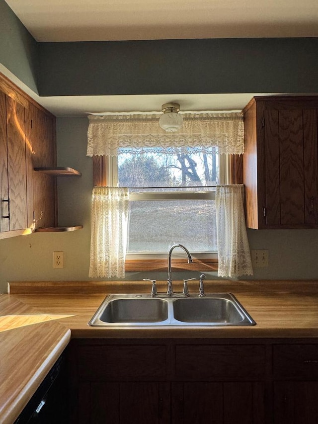 kitchen with sink, dishwasher, and dark brown cabinets