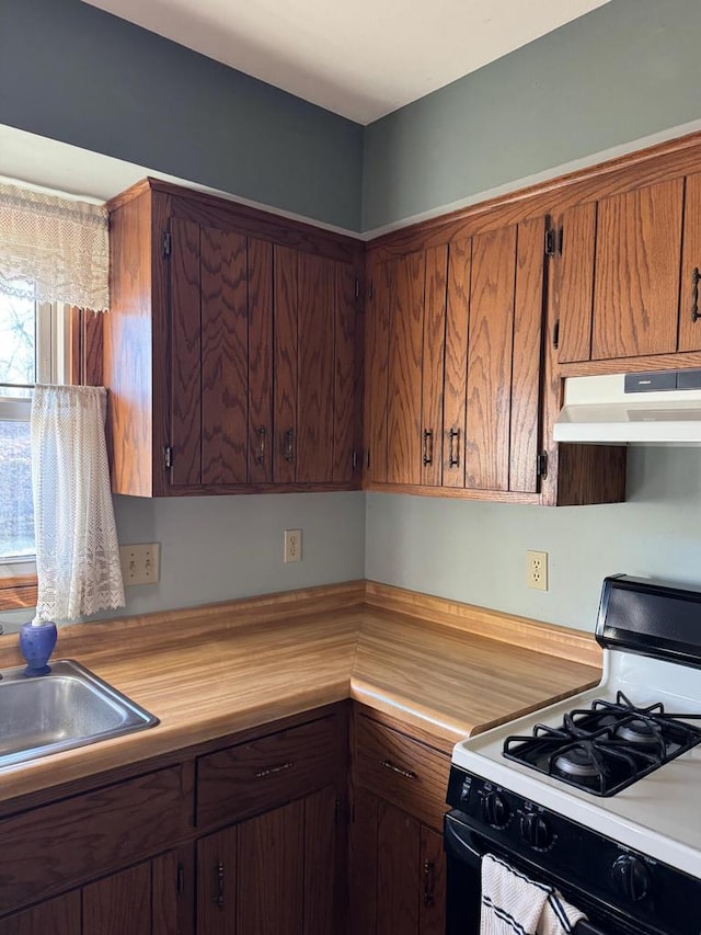 kitchen with sink and gas stove