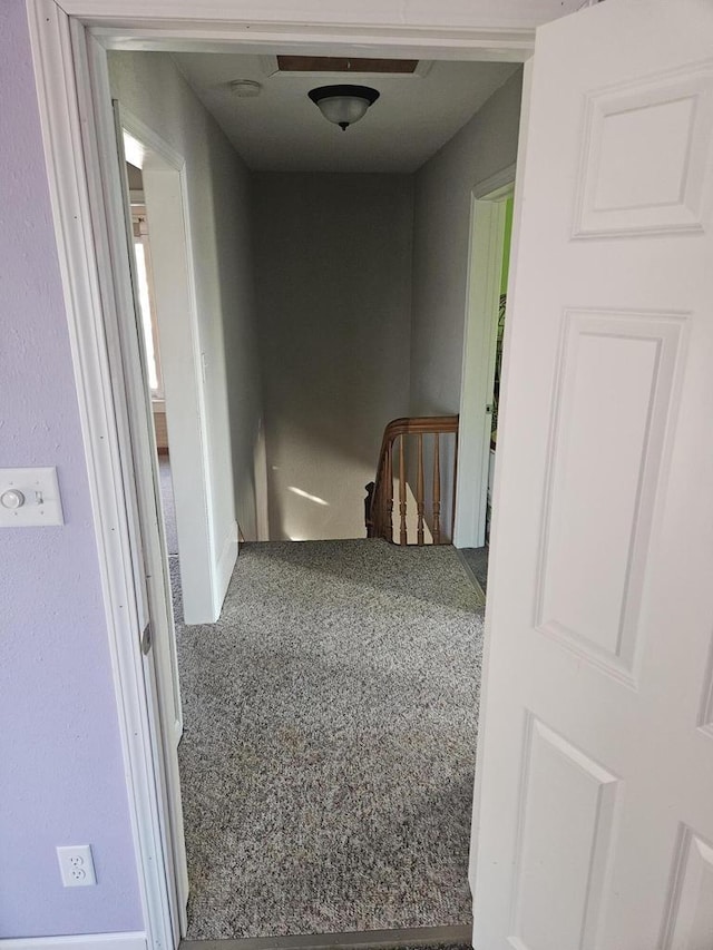 hallway with carpet