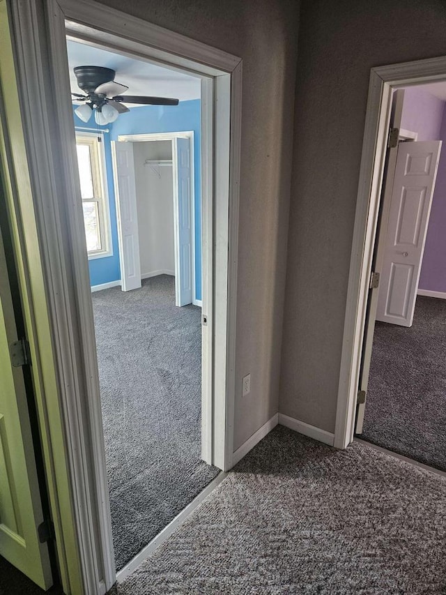 hallway with carpet flooring