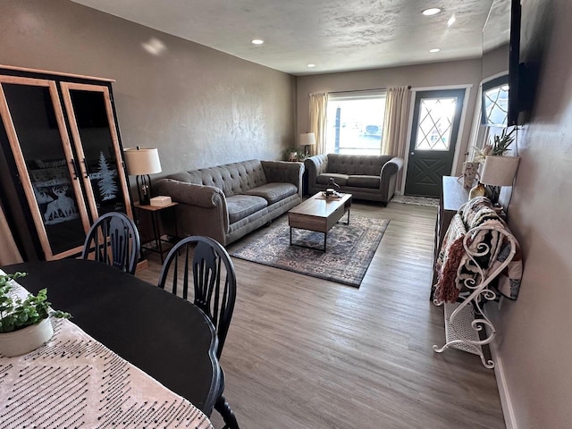 living room featuring light hardwood / wood-style floors