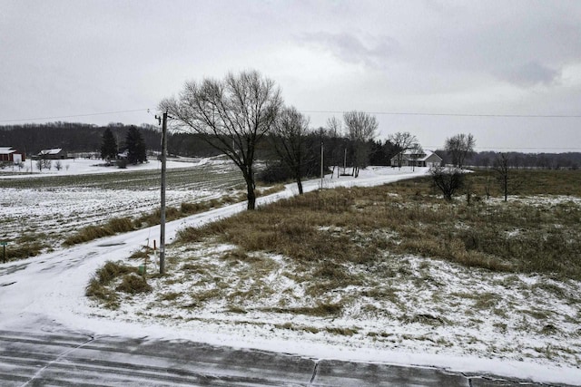 view of yard covered in snow