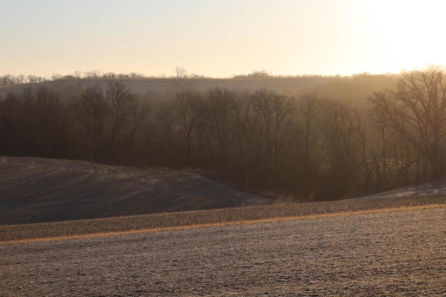 yard at dusk with a rural view