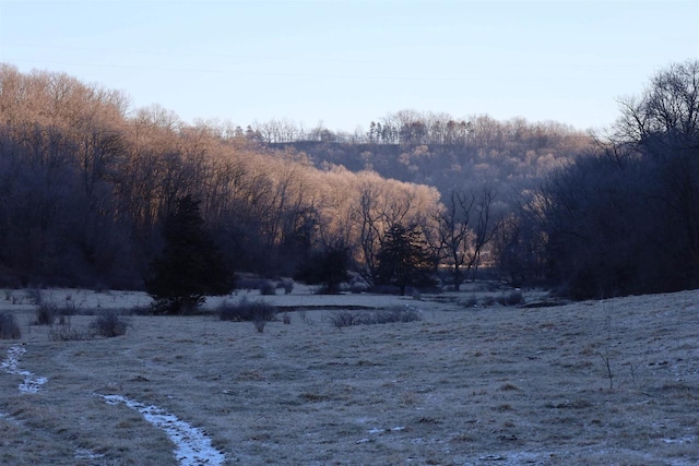 view of nature featuring a rural view