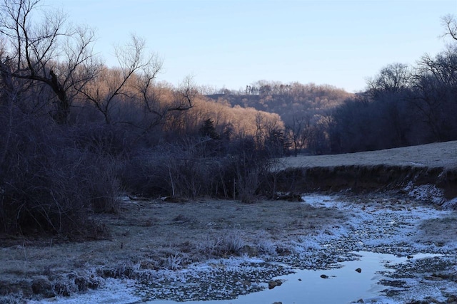 view of nature