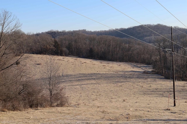 mountain view featuring a rural view