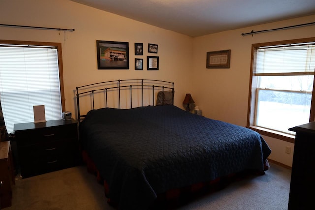 bedroom featuring multiple windows and carpet flooring