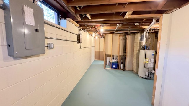 basement with electric panel and gas water heater